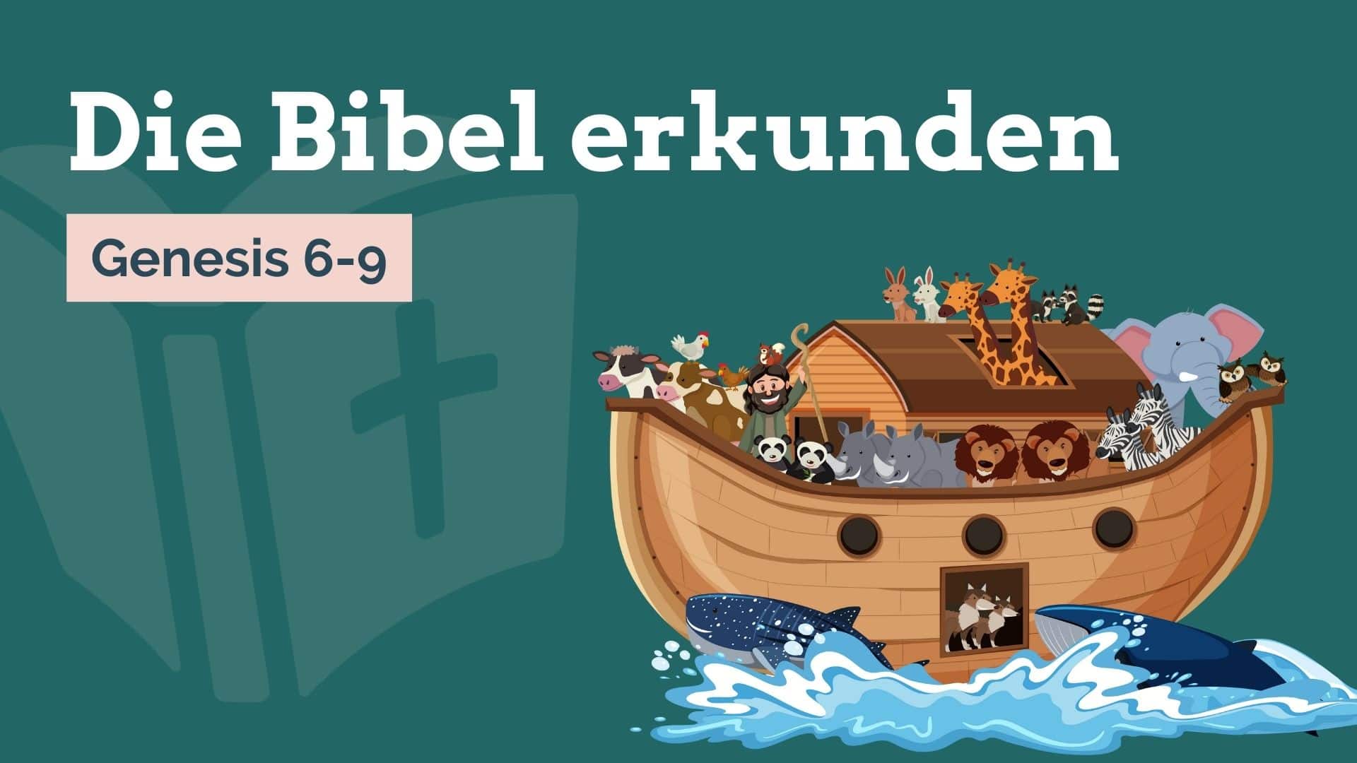 Bibel-Gruppenstunde: Arche Noah › Jugendleiter-Blog